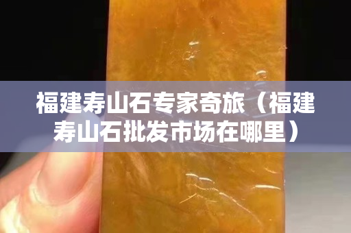 福建壽山石專家奇旅（福建壽山石批發(fā)市場(chǎng)在哪里）