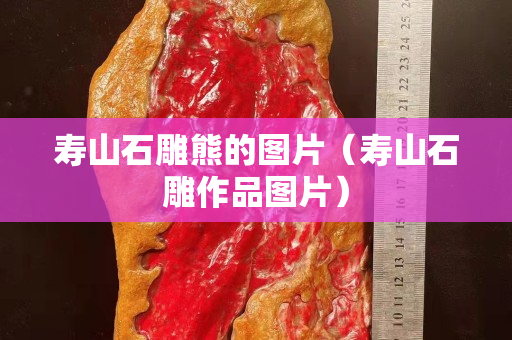 壽山石雕熊的圖片（壽山石雕作品圖片）