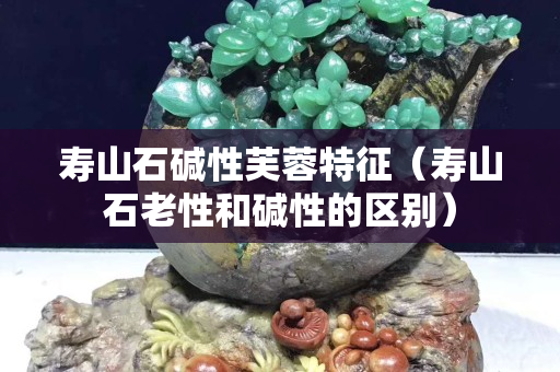 壽山石堿性芙蓉特征（壽山石老性和堿性的區(qū)別）