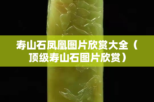 壽山石鳳凰圖片欣賞大全（頂級(jí)壽山石圖片欣賞）