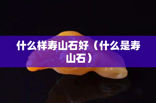什么樣壽山石好（什么是壽山石）