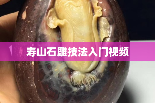 壽山石雕技法入門視頻