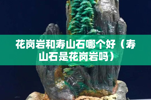 花崗巖和壽山石哪個好（壽山石是花崗巖嗎）