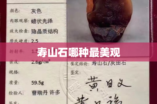 壽山石哪種最美觀
