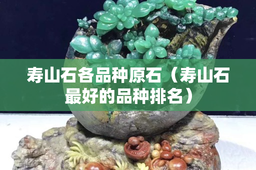 壽山石各品種原石（壽山石最好的品種排名）
