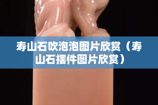 壽山石吹泡泡圖片欣賞（壽山石擺件圖片欣賞）