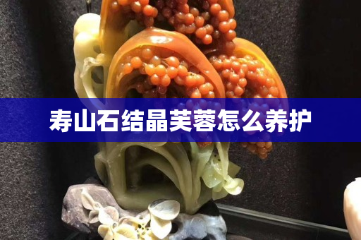壽山石結晶芙蓉怎么養護
