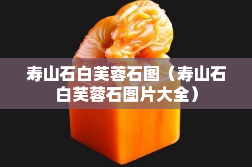 壽山石白芙蓉石圖（壽山石白芙蓉石圖片大全）