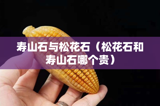 壽山石與松花石（松花石和壽山石哪個貴）