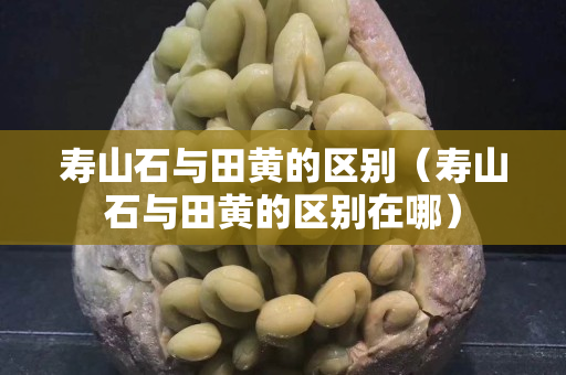壽山石與田黃的區(qū)別（壽山石與田黃的區(qū)別在哪）