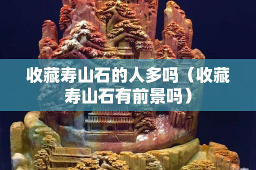 收藏壽山石的人多嗎（收藏壽山石有前景嗎）