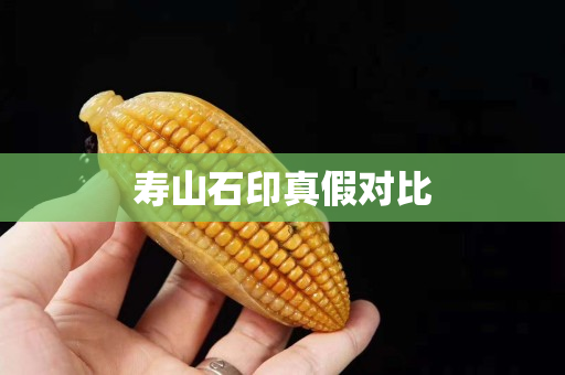 壽山石印真假對比