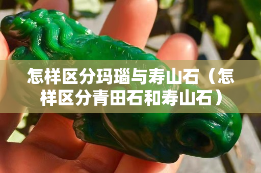 怎樣區分瑪瑙與壽山石（怎樣區分青田石和壽山石）