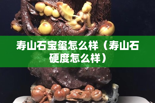 壽山石寶璽怎么樣（壽山石硬度怎么樣）