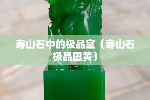 壽山石中的極品室（壽山石極品田黃）