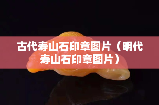 古代壽山石印章圖片（明代壽山石印章圖片）