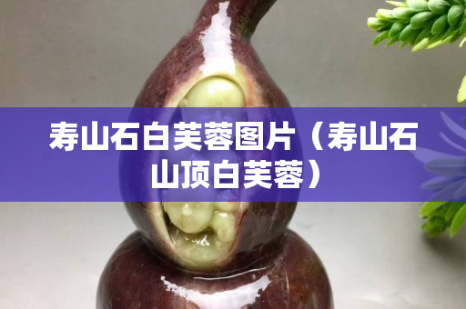 壽山石白芙蓉圖片（壽山石山頂白芙蓉）