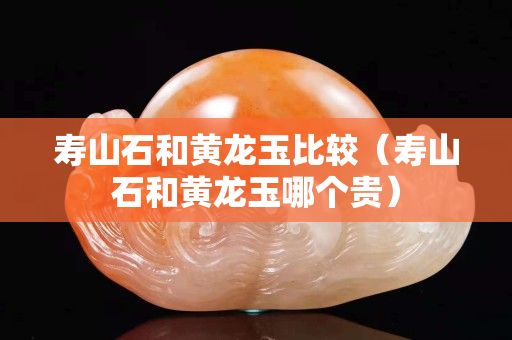壽山石和黃龍玉比較（壽山石和黃龍玉哪個貴）