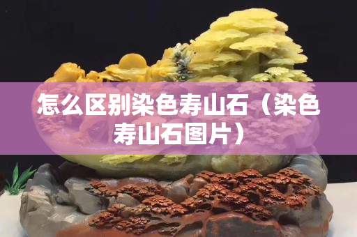 怎么區(qū)別染色壽山石（染色壽山石圖片）