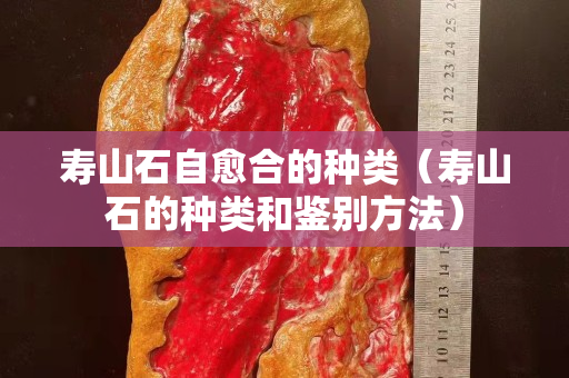壽山石自愈合的種類（壽山石的種類和鑒別方法）