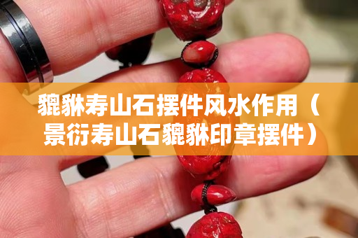 貔貅壽山石擺件風水作用（景衍壽山石貔貅印章擺件）