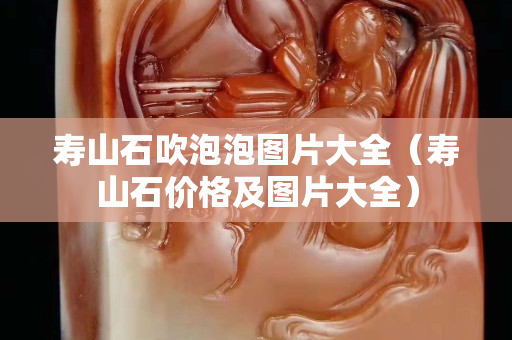 壽山石吹泡泡圖片大全（壽山石價格及圖片大全）