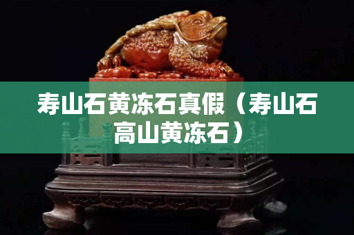 壽山石黃凍石真假（壽山石高山黃凍石）