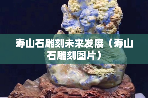 壽山石雕刻未來發展（壽山石雕刻圖片）