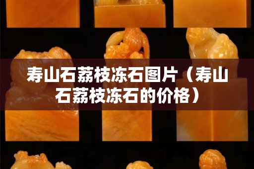 壽山石荔枝凍石圖片（壽山石荔枝凍石的價格）