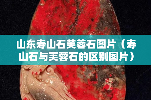 山東壽山石芙蓉石圖片（壽山石與芙蓉石的區別圖片）