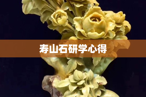 壽山石研學心得
