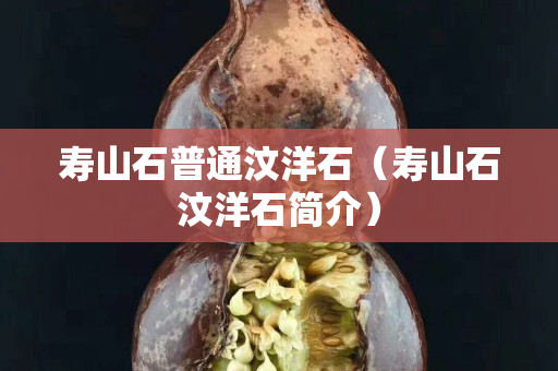 壽山石普通汶洋石（壽山石汶洋石簡介）