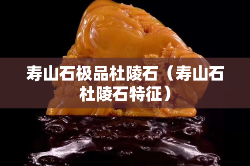 壽山石極品杜陵石（壽山石杜陵石特征）
