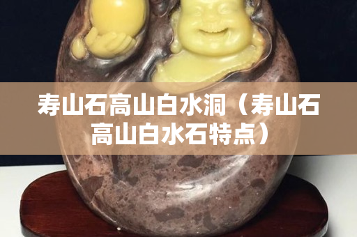 壽山石高山白水洞（壽山石高山白水石特點）
