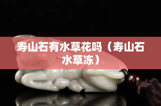 壽山石有水草花嗎（壽山石水草凍）