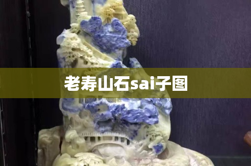 老壽山石sai子圖