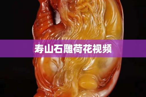 壽山石雕荷花視頻