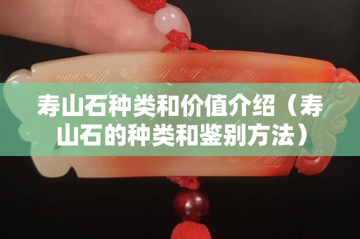 壽山石種類和價值介紹（壽山石的種類和鑒別方法）