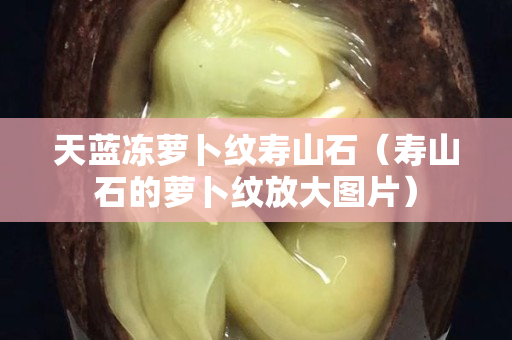天藍凍蘿卜紋壽山石（壽山石的蘿卜紋放大圖片）