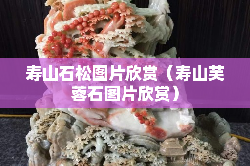 壽山石松圖片欣賞（壽山芙蓉石圖片欣賞）