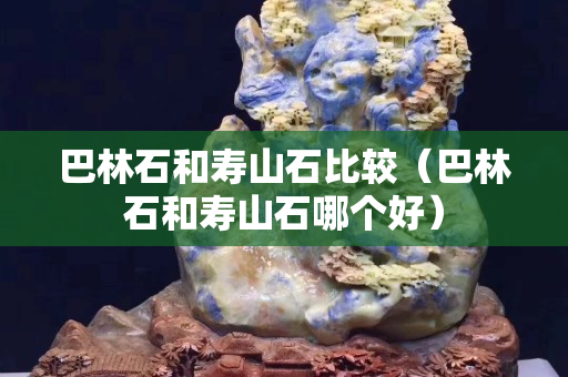 巴林石和壽山石比較（巴林石和壽山石哪個好）