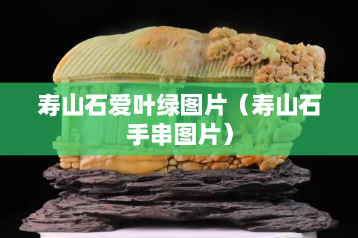 壽山石愛葉綠圖片（壽山石手串圖片）