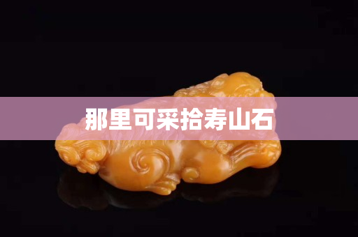 那里可采拾壽山石