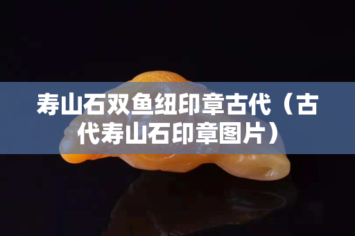 壽山石雙魚紐印章古代（古代壽山石印章圖片）