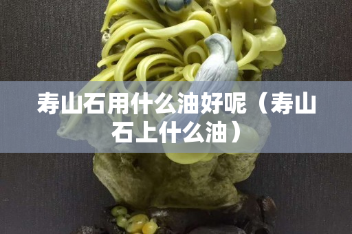 壽山石用什么油好呢（壽山石上什么油）