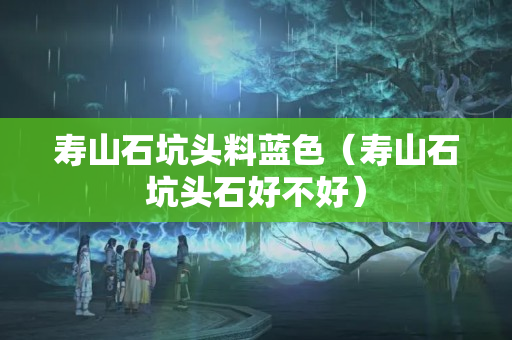 壽山石坑頭料藍色（壽山石坑頭石好不好）
