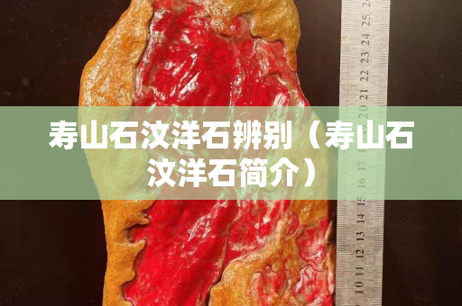 壽山石汶洋石辨別（壽山石汶洋石簡介）