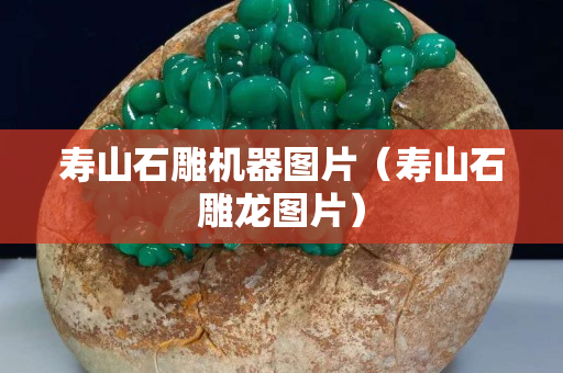 壽山石雕機器圖片（壽山石雕龍圖片）