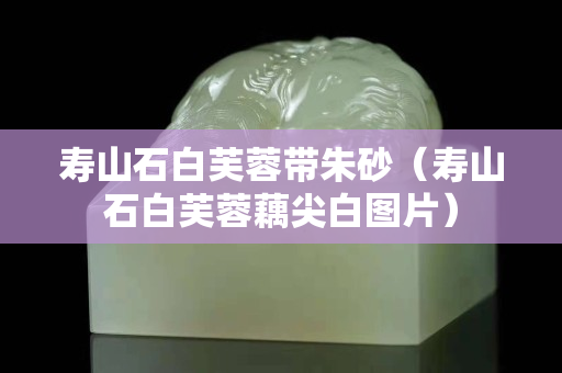 壽山石白芙蓉帶朱砂（壽山石白芙蓉藕尖白圖片）