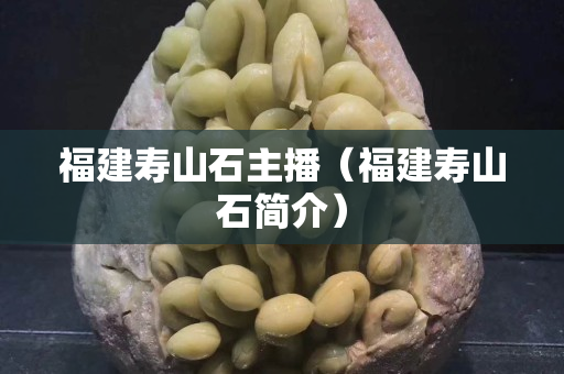 福建壽山石主播（福建壽山石簡介）